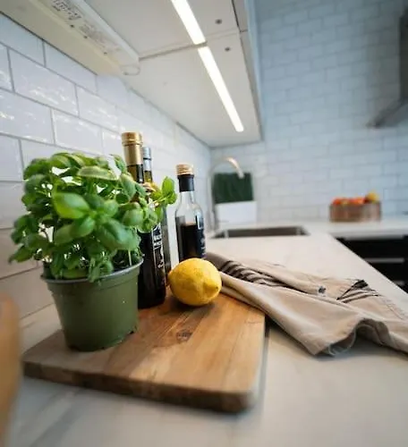 Ultra Flat With Balcony Διαμέρισμα Μπέργκεν